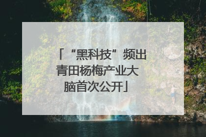 “黑科技”频出 青田杨梅产业大脑首次公开