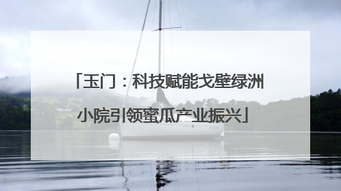 玉门：科技赋能戈壁绿洲 小院引领蜜瓜产业振兴