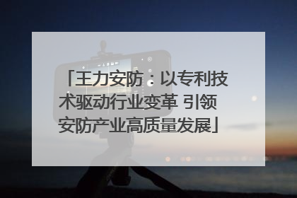 王力安防：以专利技术驱动行业变革 引领安防产业高质量发展