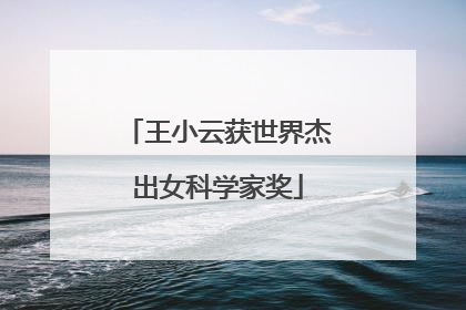 王小云获世界杰出女科学家奖
