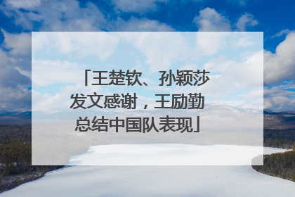 王楚钦、孙颖莎发文感谢，王励勤总结中国队表现