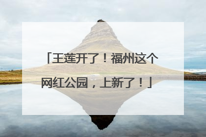 王莲开了！福州这个网红公园，上新了！