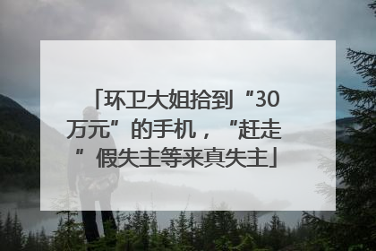 环卫大姐拾到“30万元”的手机，“赶走”假失主等来真失主