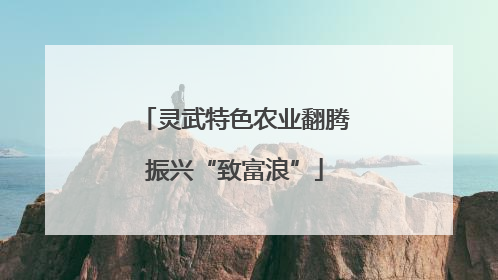 灵武特色农业翻腾振兴“致富浪”