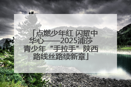 点燃少年红 闪耀中华心——2025浦莎青少年“手拉手”陕西路线丝路续新章