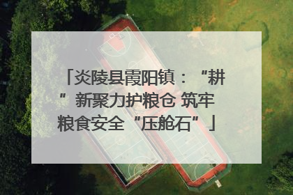 炎陵县霞阳镇：“耕”新聚力护粮仓 筑牢粮食安全“压舱石”
