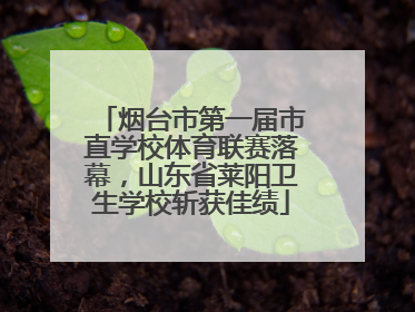 烟台市第一届市直学校体育联赛落幕，山东省莱阳卫生学校斩获佳绩
