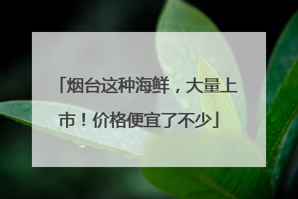 烟台这种海鲜，大量上市！价格便宜了不少