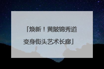 焕新！黄陂锦秀道变身街头艺术长廊