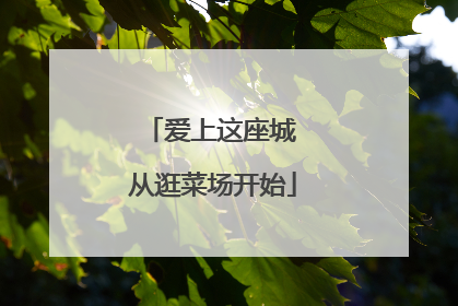爱上这座城 从逛菜场开始