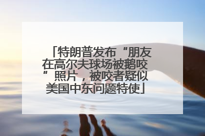 特朗普发布“朋友在高尔夫球场被鹅咬”照片，被咬者疑似美国中东问题特使