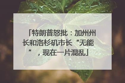 特朗普怒批：加州州长和洛杉矶市长“无能”，现在一片混乱