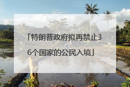 特朗普政府拟再禁止36个国家的公民入境