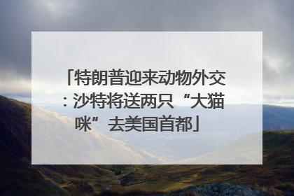 特朗普迎来动物外交：沙特将送两只“大猫咪”去美国首都