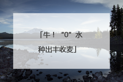 牛！“0”水种出丰收麦