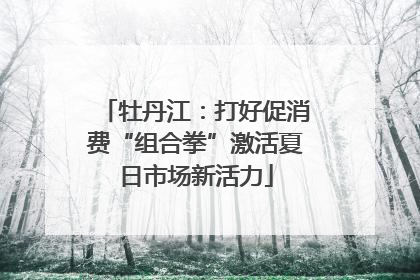 牡丹江：打好促消费“组合拳”激活夏日市场新活力