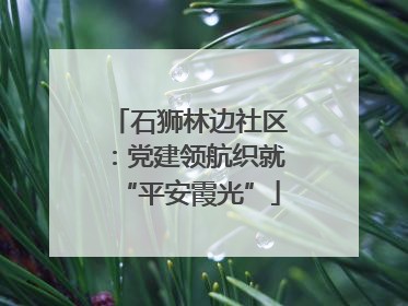 石狮林边社区：党建领航织就“平安霞光”