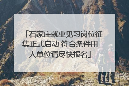 石家庄就业见习岗位征集正式启动 符合条件用人单位请尽快报名