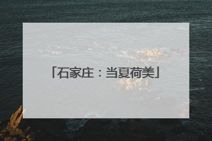 石家庄：当夏荷美