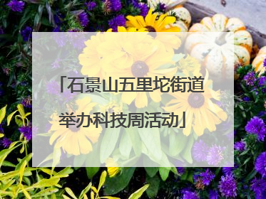 石景山五里坨街道举办科技周活动