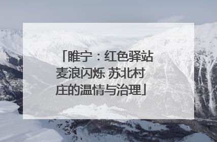 睢宁：红色驿站麦浪闪烁 苏北村庄的温情与治理