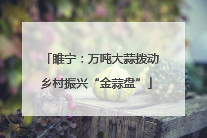 睢宁：万吨大蒜拨动乡村振兴“金蒜盘”