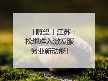瞭望丨江苏：松绑准入激发服务业新动能
