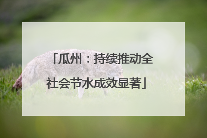 瓜州：持续推动全社会节水成效显著