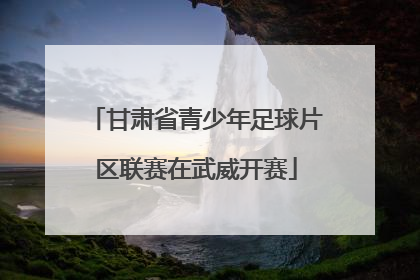 甘肃省青少年足球片区联赛在武威开赛