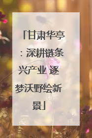 甘肃华亭：深耕链条兴产业 逐梦沃野绘新景