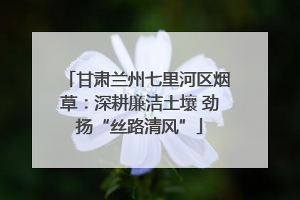 甘肃兰州七里河区烟草：深耕廉洁土壤 劲扬“丝路清风”