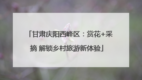 甘肃庆阳西峰区：赏花+采摘 解锁乡村旅游新体验