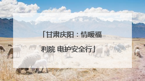 甘肃庆阳：情暖福利院 电护安全行