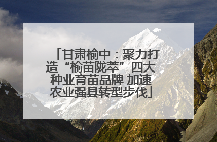 甘肃榆中：聚力打造“榆苗陇萃”四大种业育苗品牌 加速农业强县转型步伐