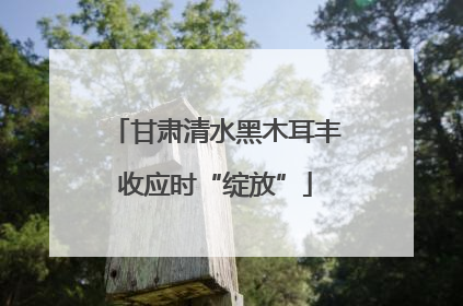 甘肃清水黑木耳丰收应时“绽放”
