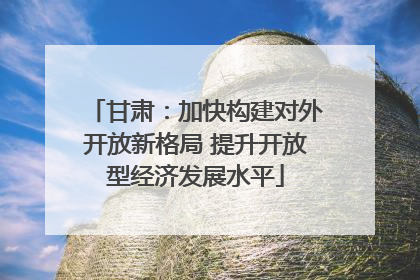 甘肃：加快构建对外开放新格局 提升开放型经济发展水平