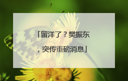 留洋了？樊振东，突传重磅消息