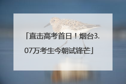 直击高考首日！烟台3.07万考生今朝试锋芒