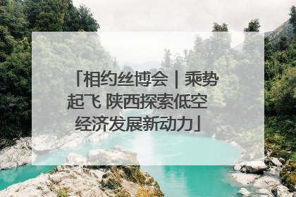 相约丝博会｜乘势起飞 陕西探索低空经济发展新动力