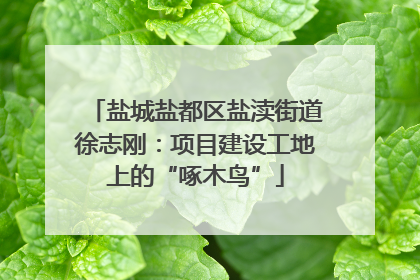 盐城盐都区盐渎街道徐志刚：项目建设工地上的“啄木鸟”