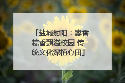 盐城射阳：囊香粽香飘溢校园 传统文化深植心田