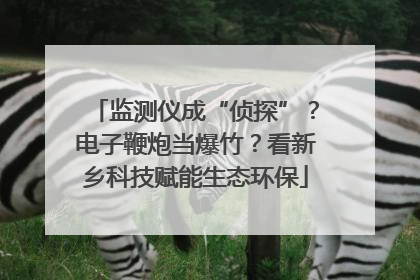 监测仪成“侦探”？电子鞭炮当爆竹？看新乡科技赋能生态环保