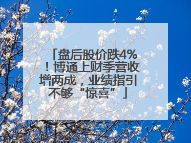 盘后股价跌4%！博通上财季营收增两成，业绩指引不够“惊喜”