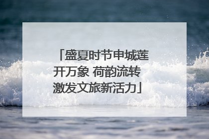 盛夏时节申城莲开万象 荷韵流转激发文旅新活力