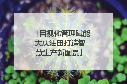 目视化管理赋能 大庆油田打造智慧生产新图景