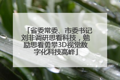 省委常委、市委书记刘非调研思看科技，勉励思看勇攀3D视觉数字化科技高峰