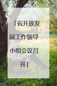 省开放发展工作领导小组会议召开