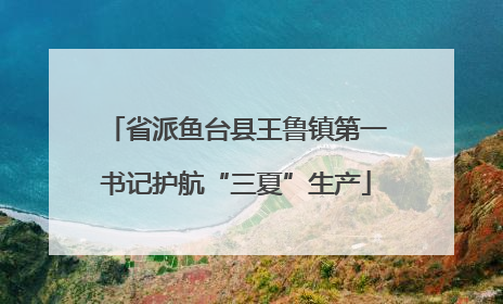 省派鱼台县王鲁镇第一书记护航“三夏”生产
