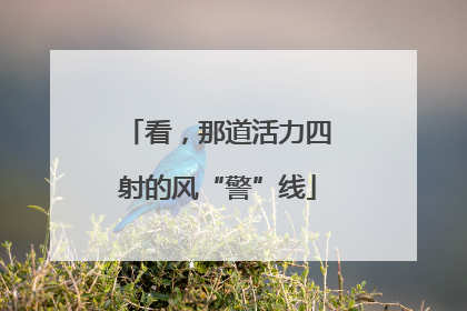 看，那道活力四射的风“警”线