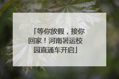 等你放假，接你回家！河南暑运校园直通车开启
